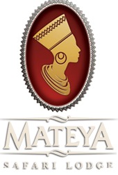 Mateya Safari Lodge - South Africa